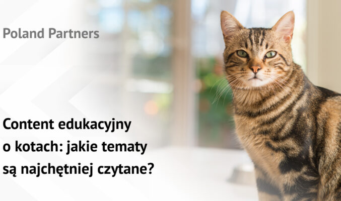Content edukacyjny o kotach